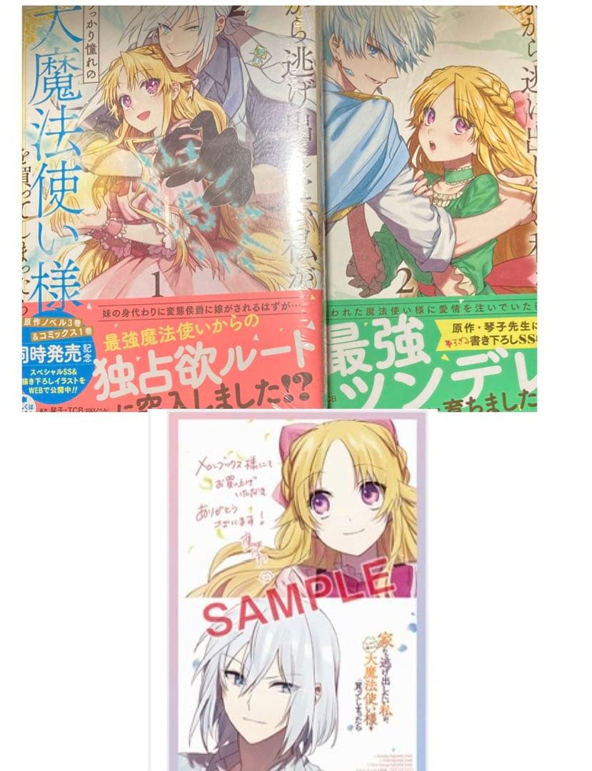 家から逃げ出したい私が、うっかり憧れの大魔法使い様を買ってしまったら　2冊セット