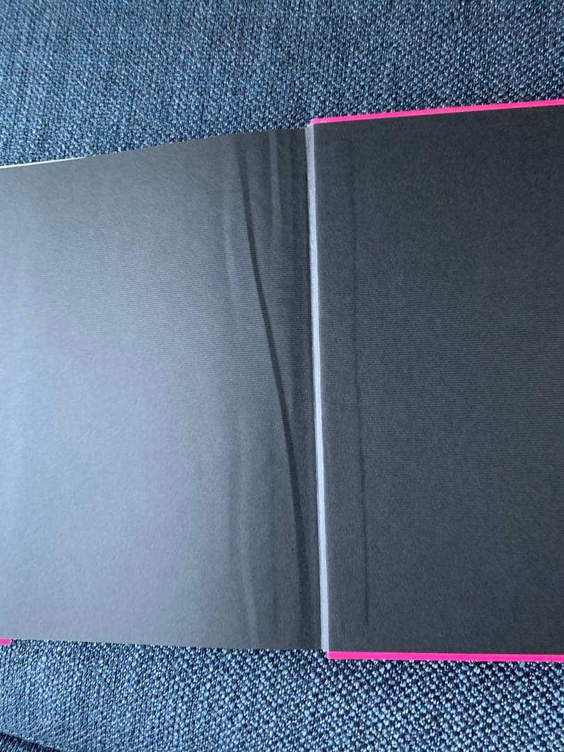 ブリジットバルドー 写真集 EDITIONS VADE RETRO