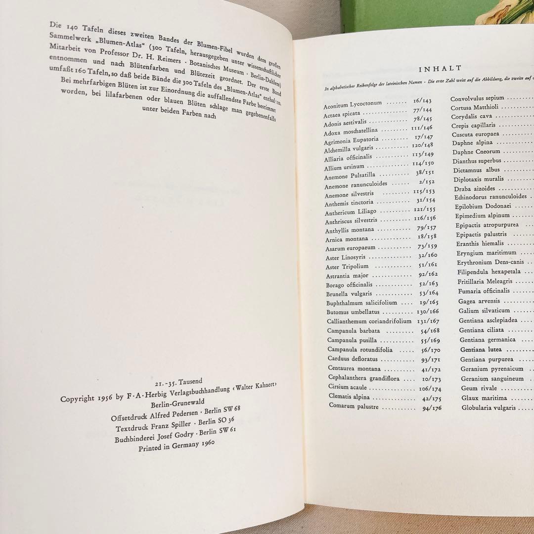 繊細なタッチの植物画 2冊セット Elsa Felsko 1960年