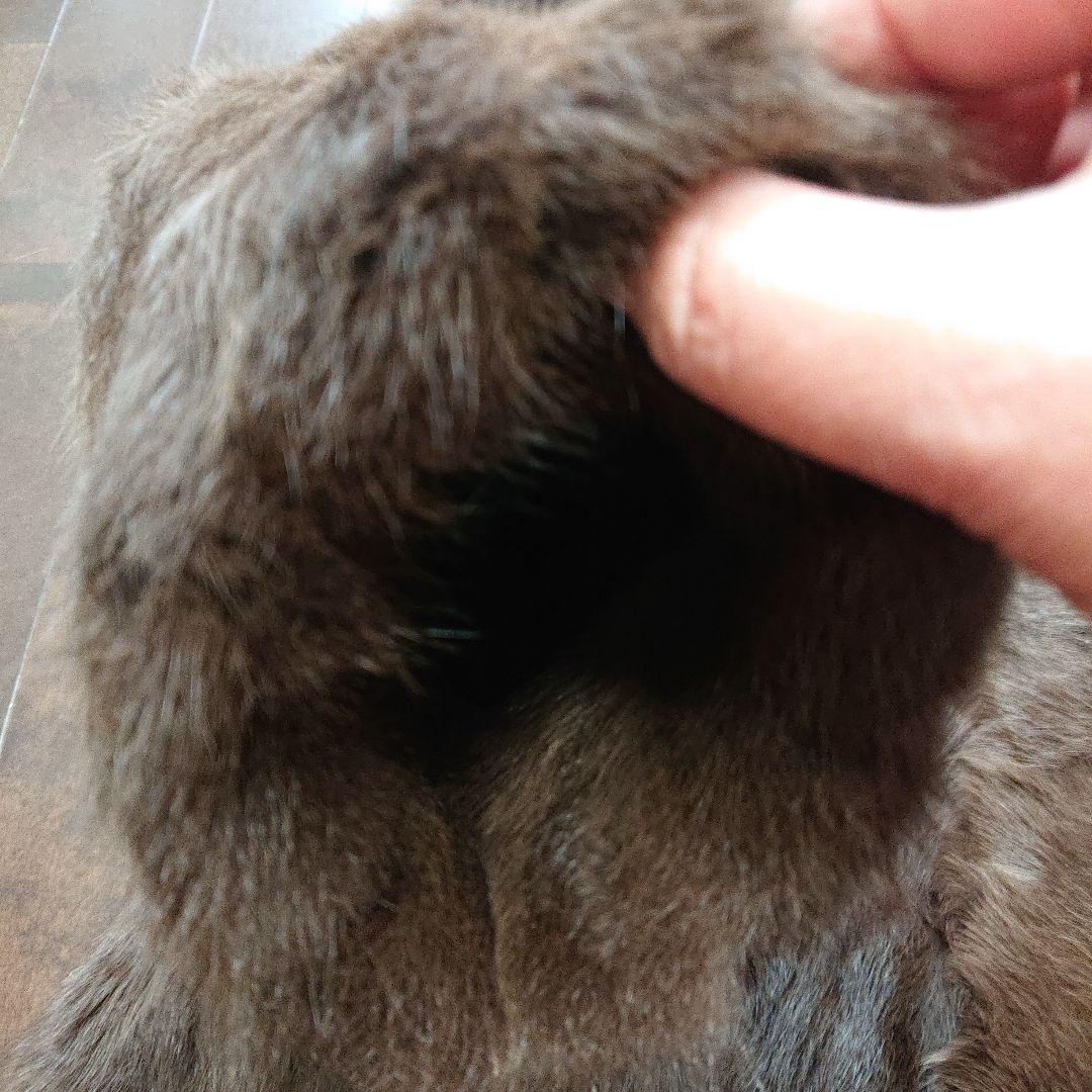 毛皮リバーシブルコートロシアンリス、シルク丈80センチ軽量ふんわりあたたか