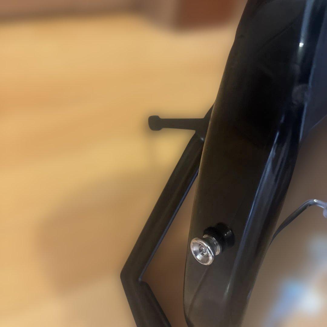 Legend ストラトタイプ アーム付 新品弦張替済 ソフトケース（オマケ）