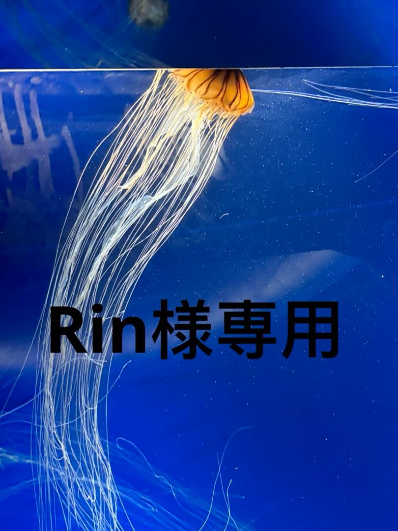 トライアルセット・サンプル Rin