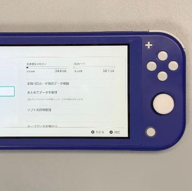 Nintendo Switch Lite 本体 動作品 2023