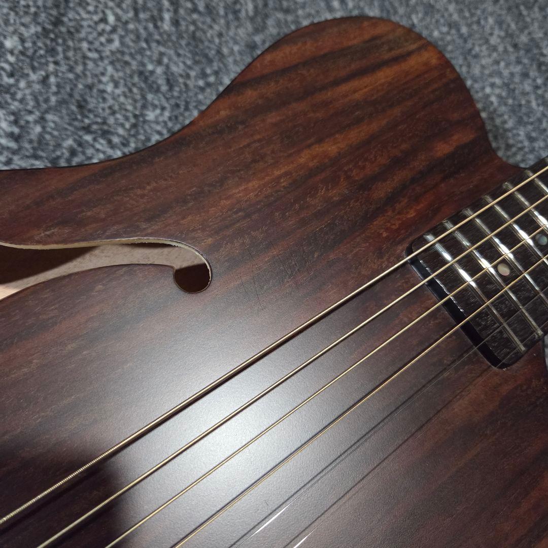 【アコースティックギター】SCHECTER OL-FL-P/RNT エレアコ