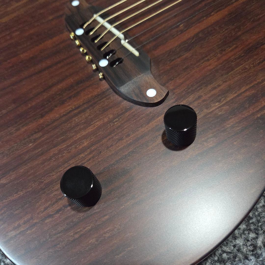 【アコースティックギター】SCHECTER OL-FL-P/RNT エレアコ