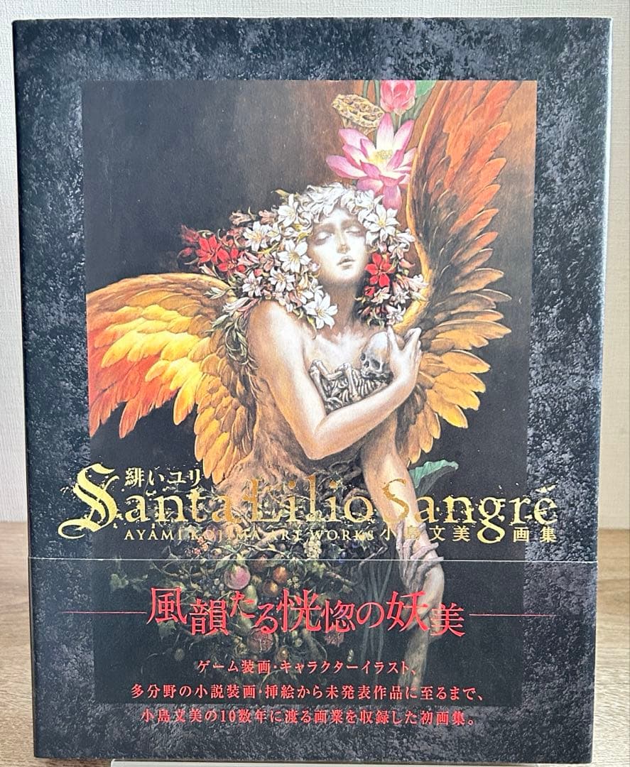 小島文美画集　Santa Lilio Sangre　緋いユリ