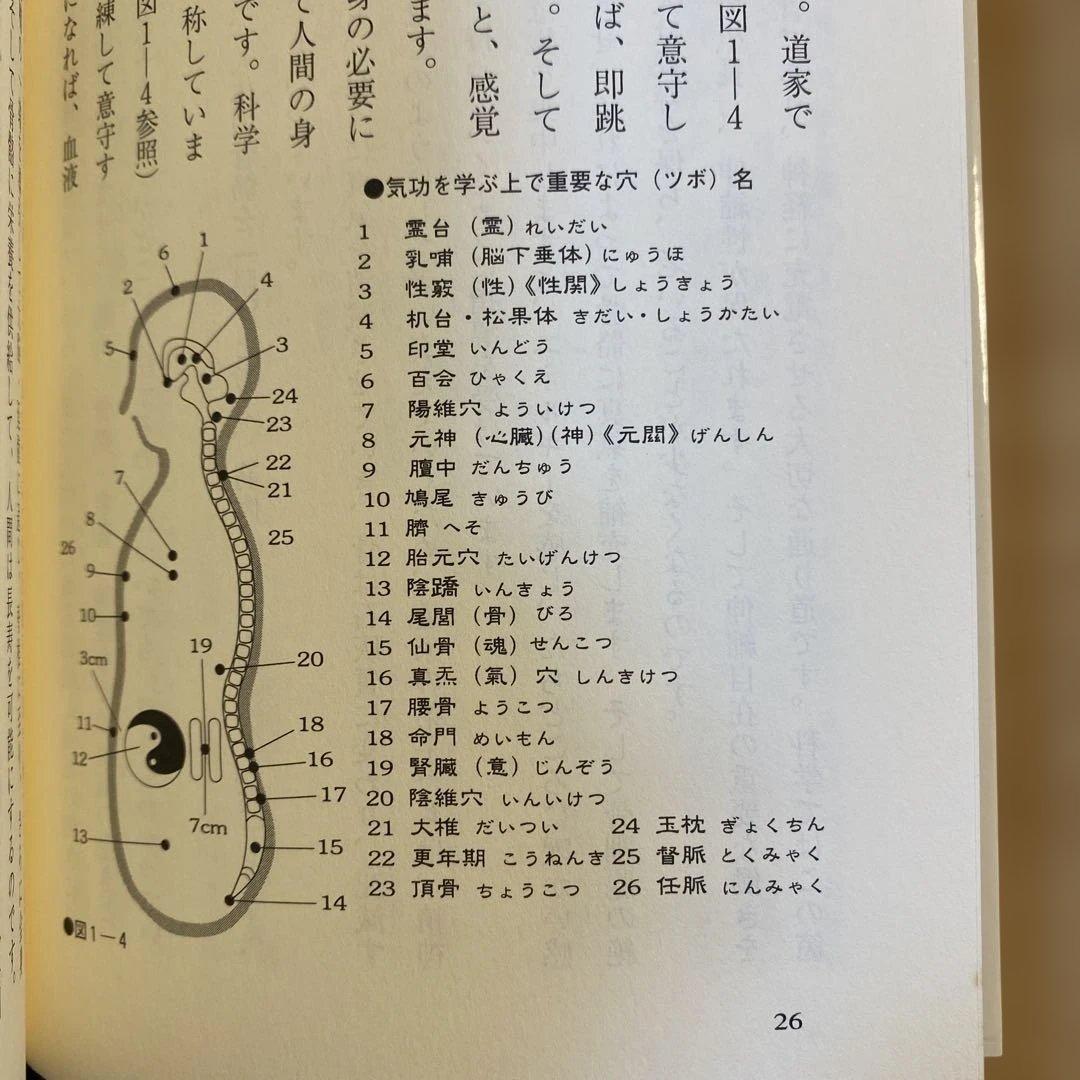 秘伝 道家気功 気功法 劉百齢 林義貢 塩田恵一 気功 医療 東洋思想 本