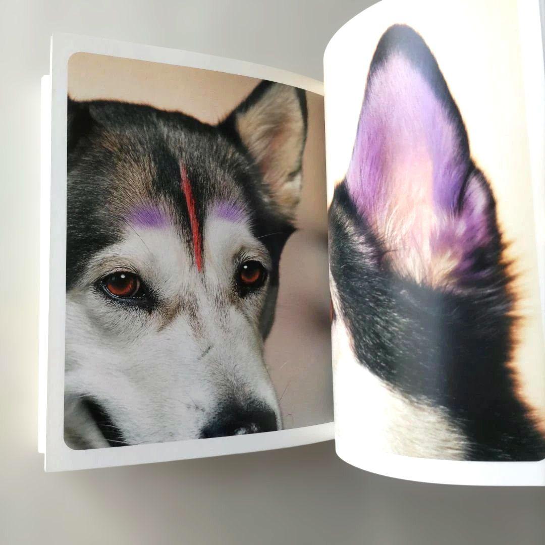 【希少】TANK MAGAZINE＃9/アート ファション 写真 イラスト