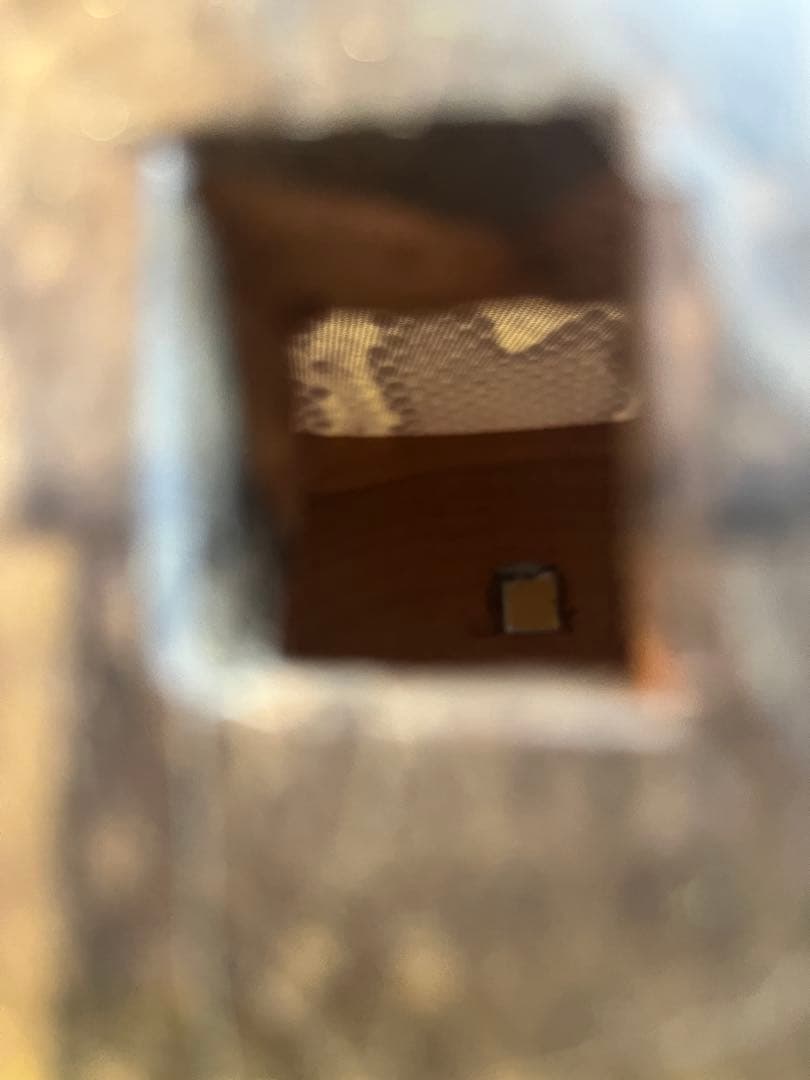 沖縄三線　人工皮　初心者セット