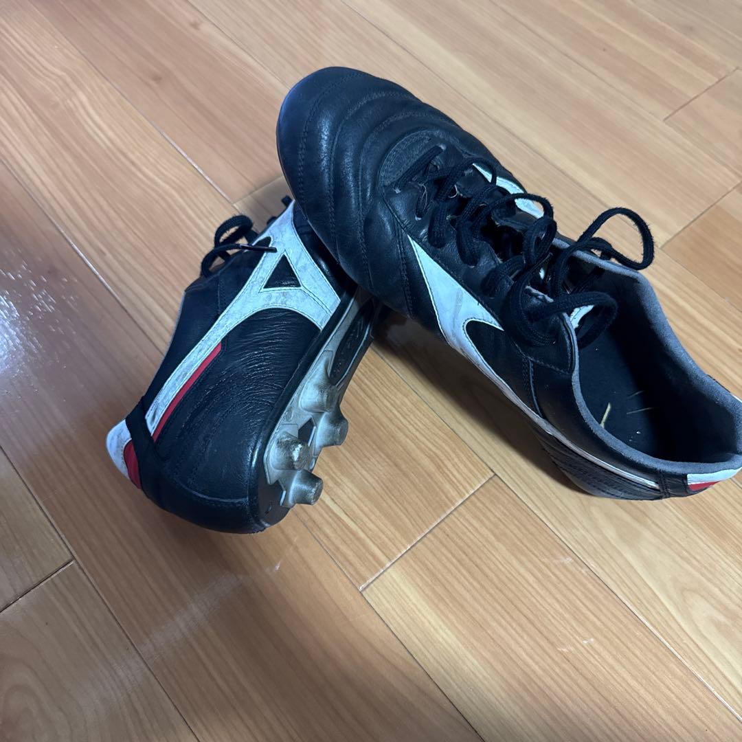 モレリアスパイク2japan