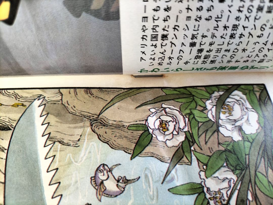 専用 正規品【週刊少年ジャンプ1984年51号】新連載　ドラゴンボール