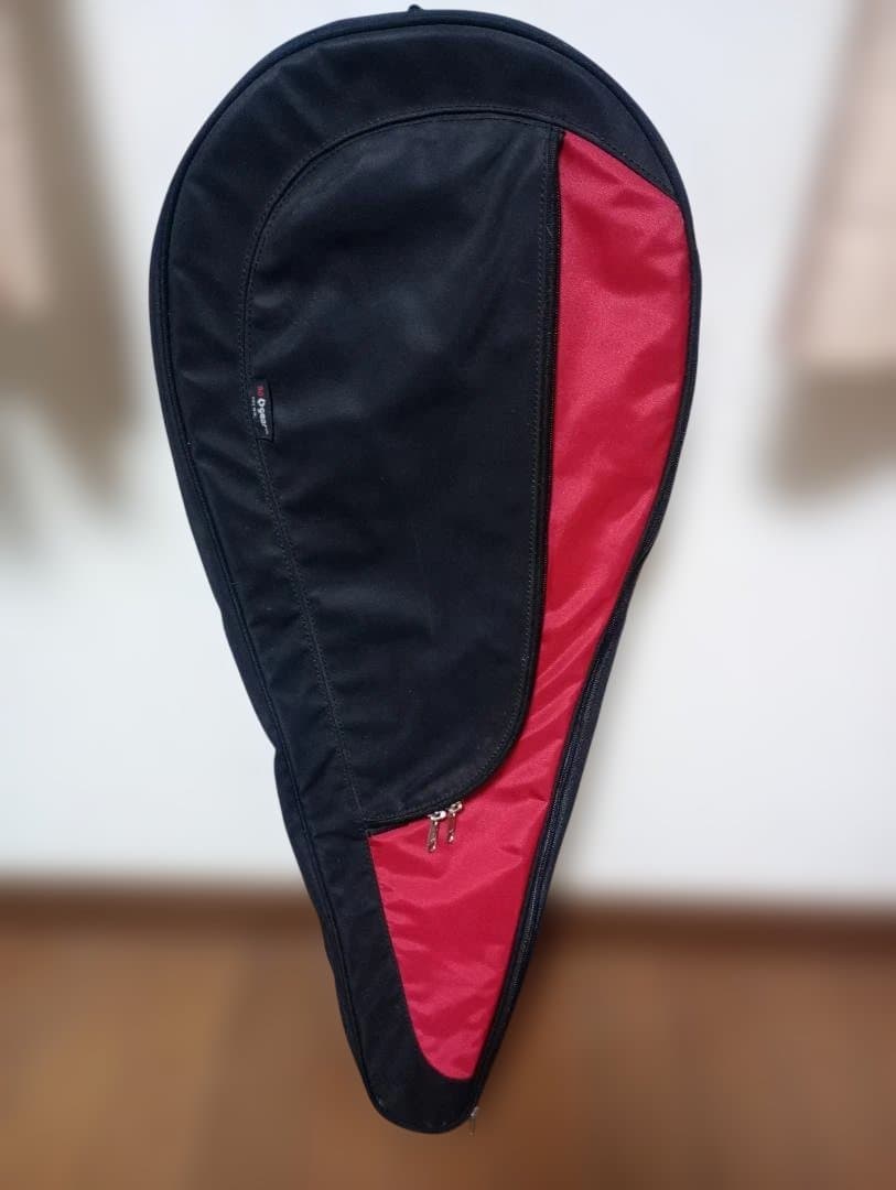 バボラ ピュアアエロ G2 2019年モデル ☆振動止め付き☆