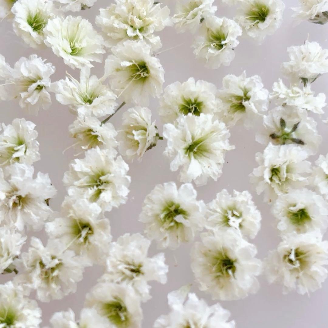 kan___f様 リクエスト　21点 まとめ商品