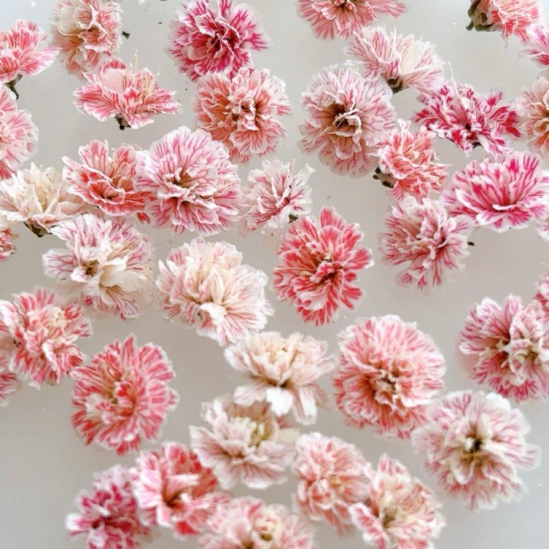 kan___f様 リクエスト　21点 まとめ商品