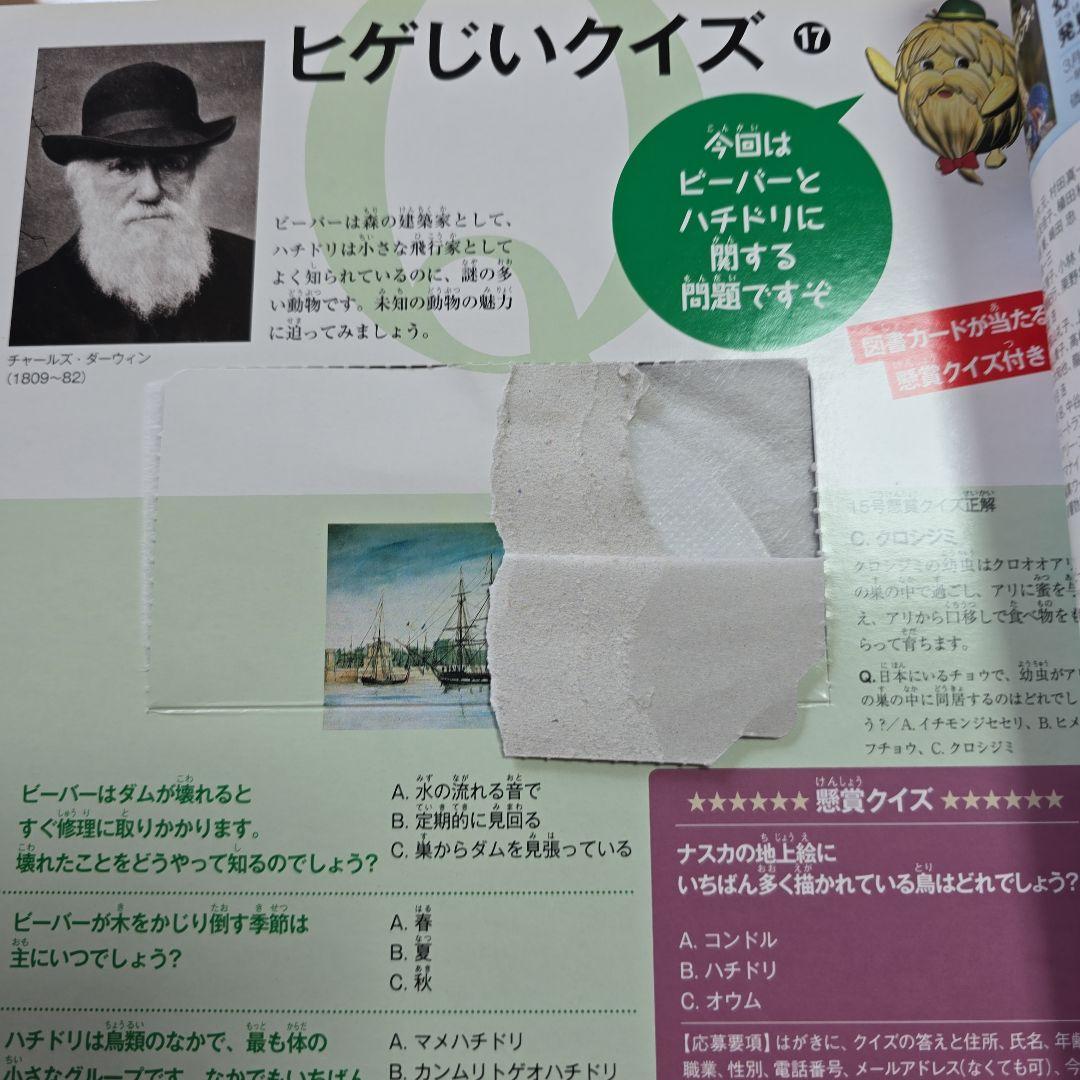 NHK　ダーウィンが来た　DVDセット47巻セット