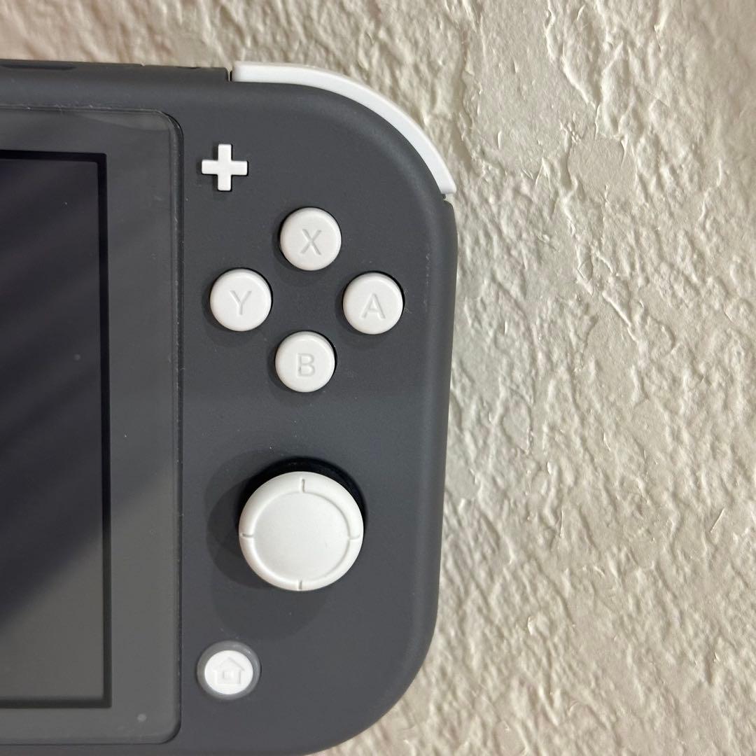 Switchライト本体+ケース・SDカード