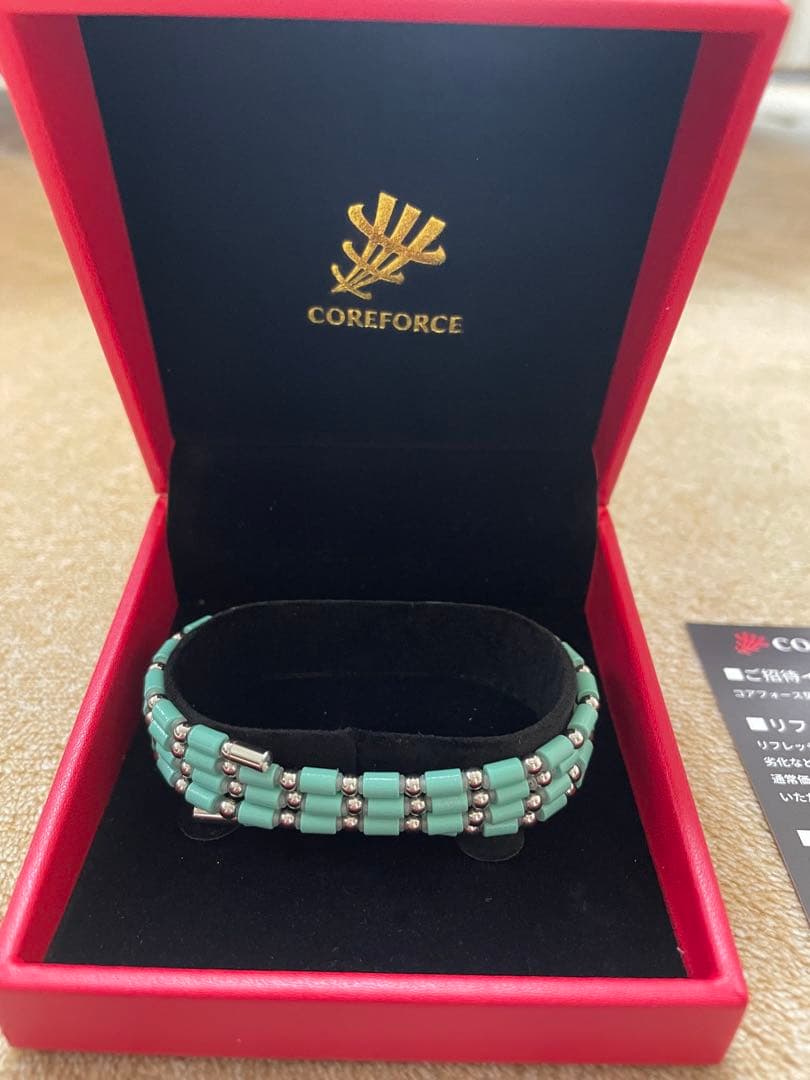 コアフォースループ PEARL MINT SUS CFL70