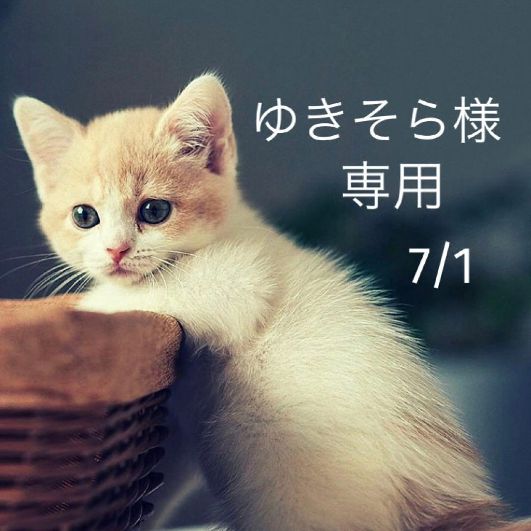 ゆきそら様 リクエスト16点 まとめ商品