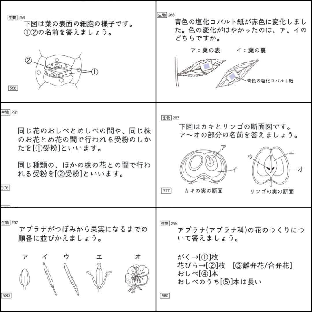 中学受験　暗記カード　理科 　生物　サピックス　予習シリーズ　コアプラス
