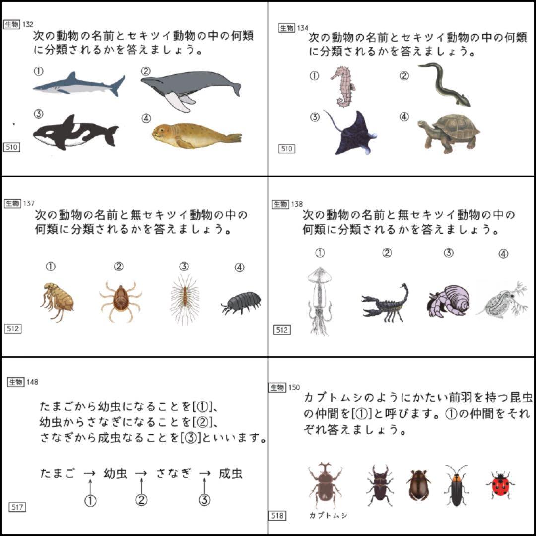 中学受験　暗記カード　理科 　生物　サピックス　予習シリーズ　コアプラス