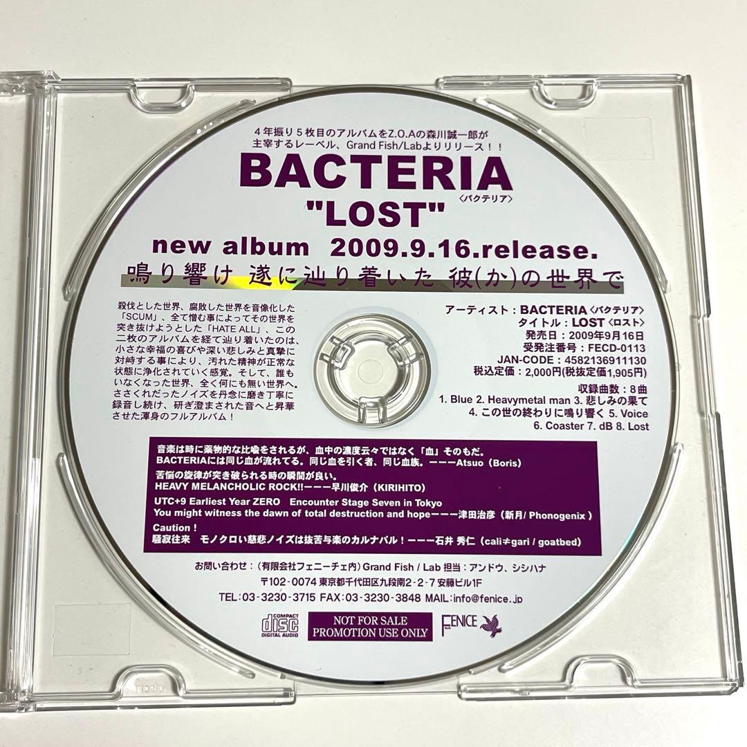 【超貴重プロモ盤】 BACTERIA / LOST