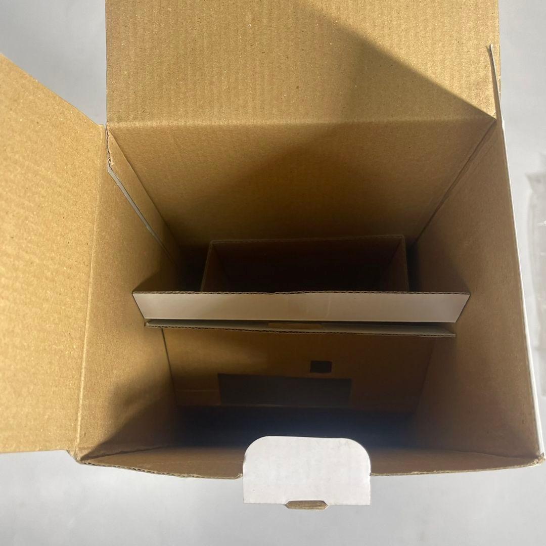 トイフェス 神龍 フル彩色 限定品