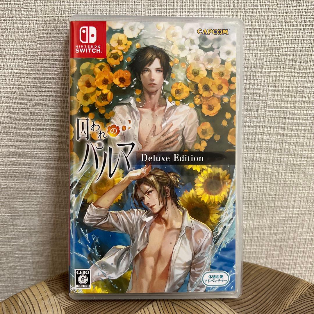 【中古・美品】　SWITCH 囚われのパルマ デラックス エディション