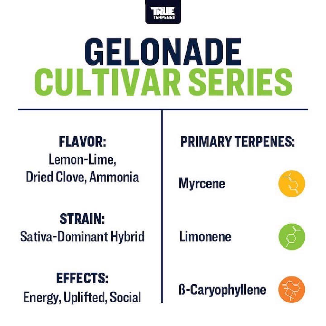 TRUE テルペン 香料 CBD CBN CBG テルペン 5ml ゲロナーデ