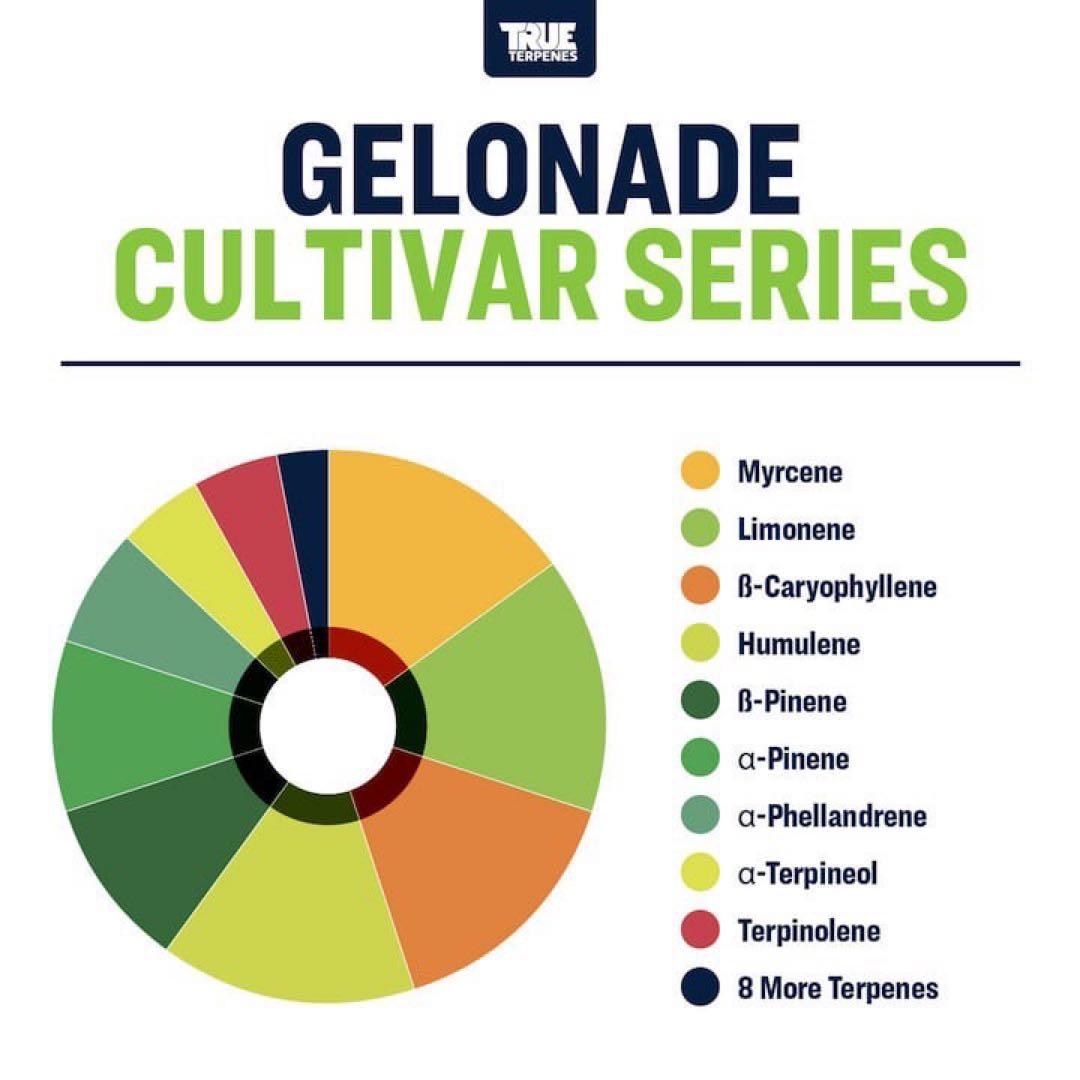 TRUE テルペン 香料 CBD CBN CBG テルペン 5ml ゲロナーデ