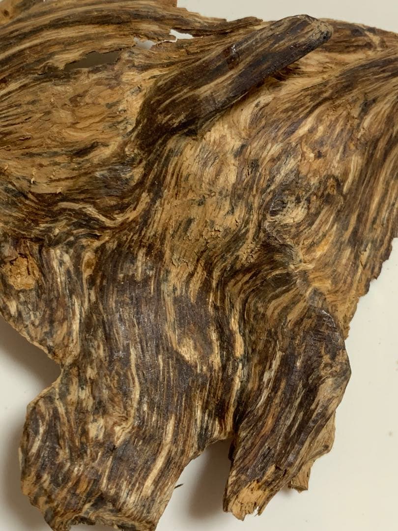 極上伽羅 沈香 香木 沈香線香 沈香精油 電気香炉　特別価格