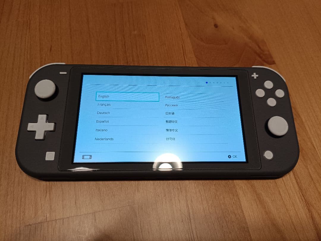 Nintendo Switch Lite グレー　ケース付き