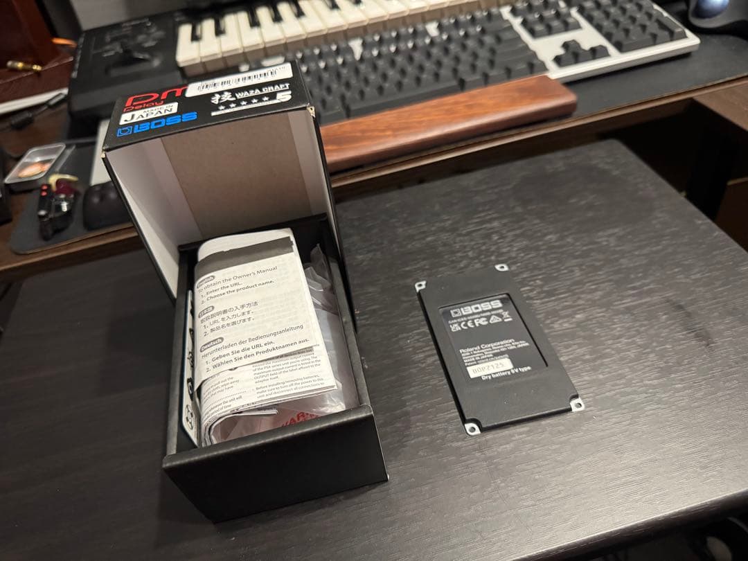 BOSS DM-2W エフェクター ディレイ+エクスプレッションペダル