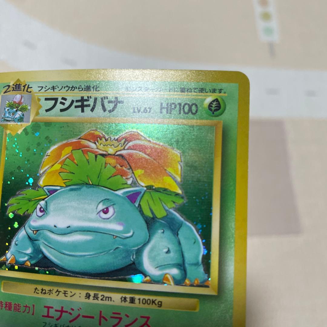 フシギバナ　旧裏　マーク無し