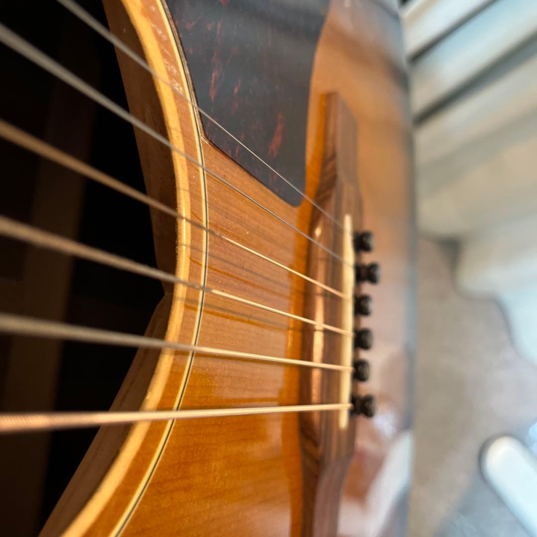 Eastman E10 SS 【book13さん専用】