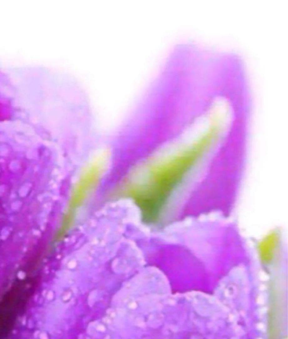 わかめ専用 美容原液 g