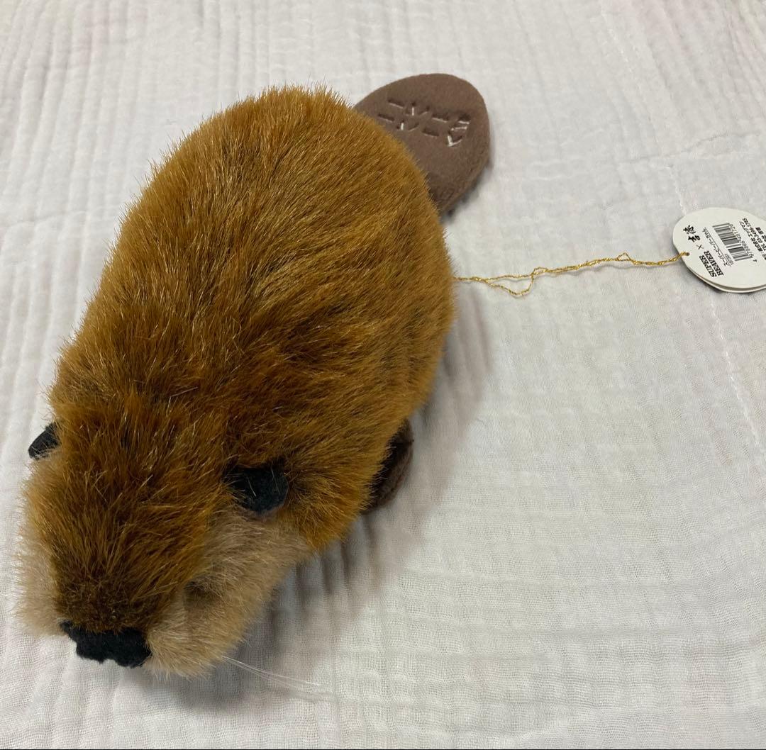 【激レア】SUPER BEAVER スーパービーバー　吉徳　ぬいぐるみ