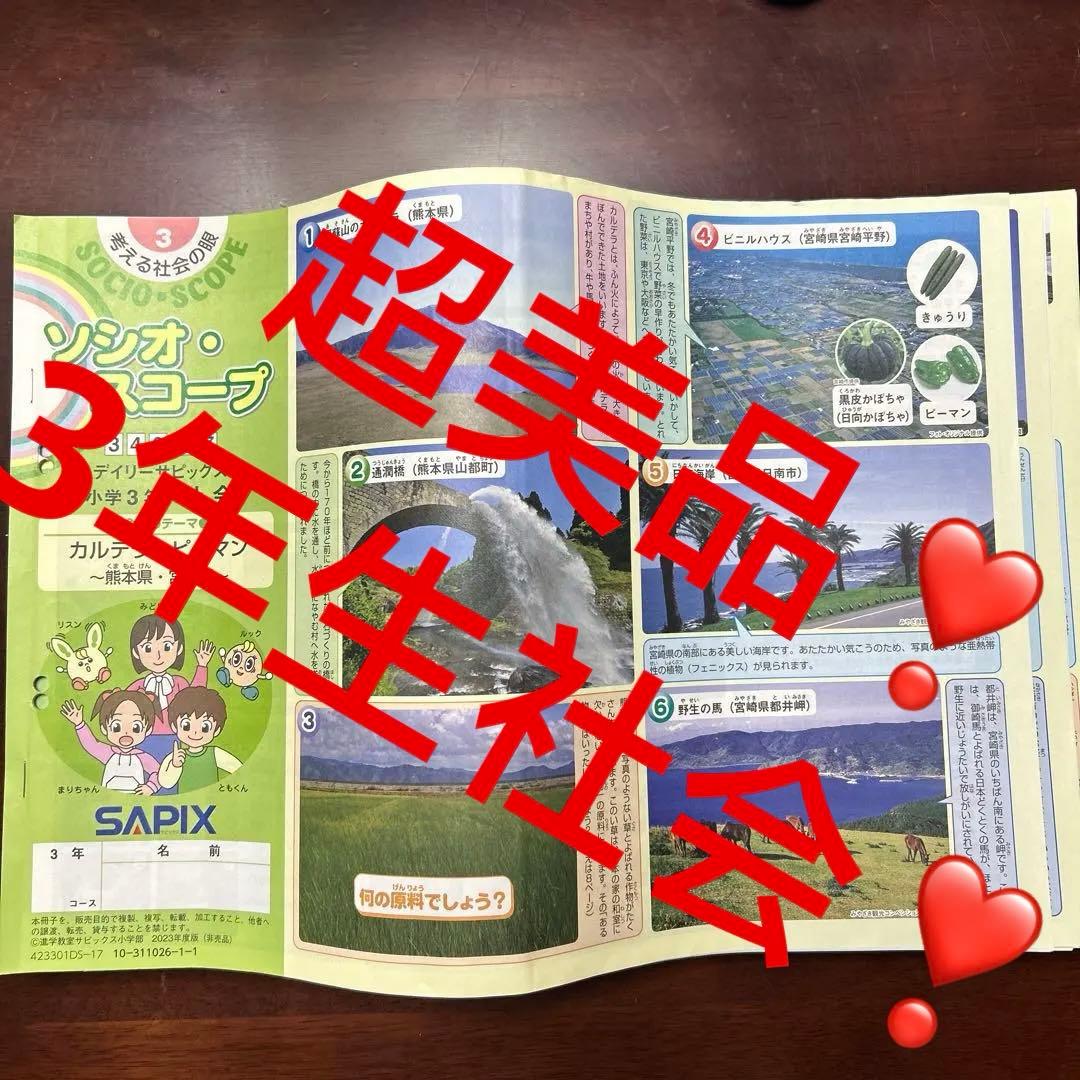 ㉓AA 超美品　SAPIX サピックス　3年　社会　一年分　ディリーサピックス