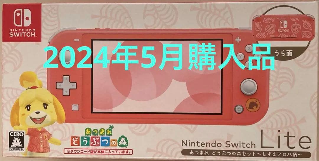 Nintendo Swicth lite 本体&充電器　ダウンロードソフト非付属
