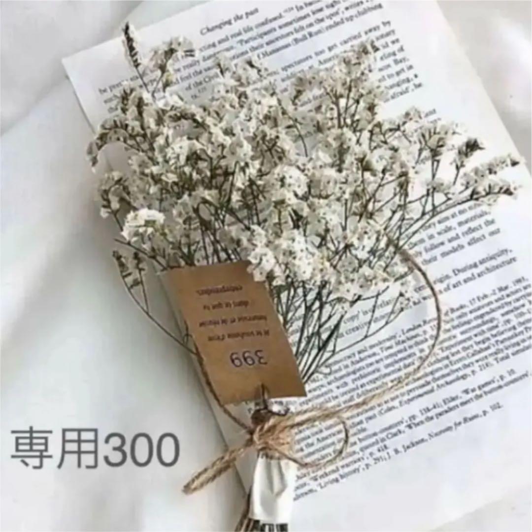 専用ページ　300粒