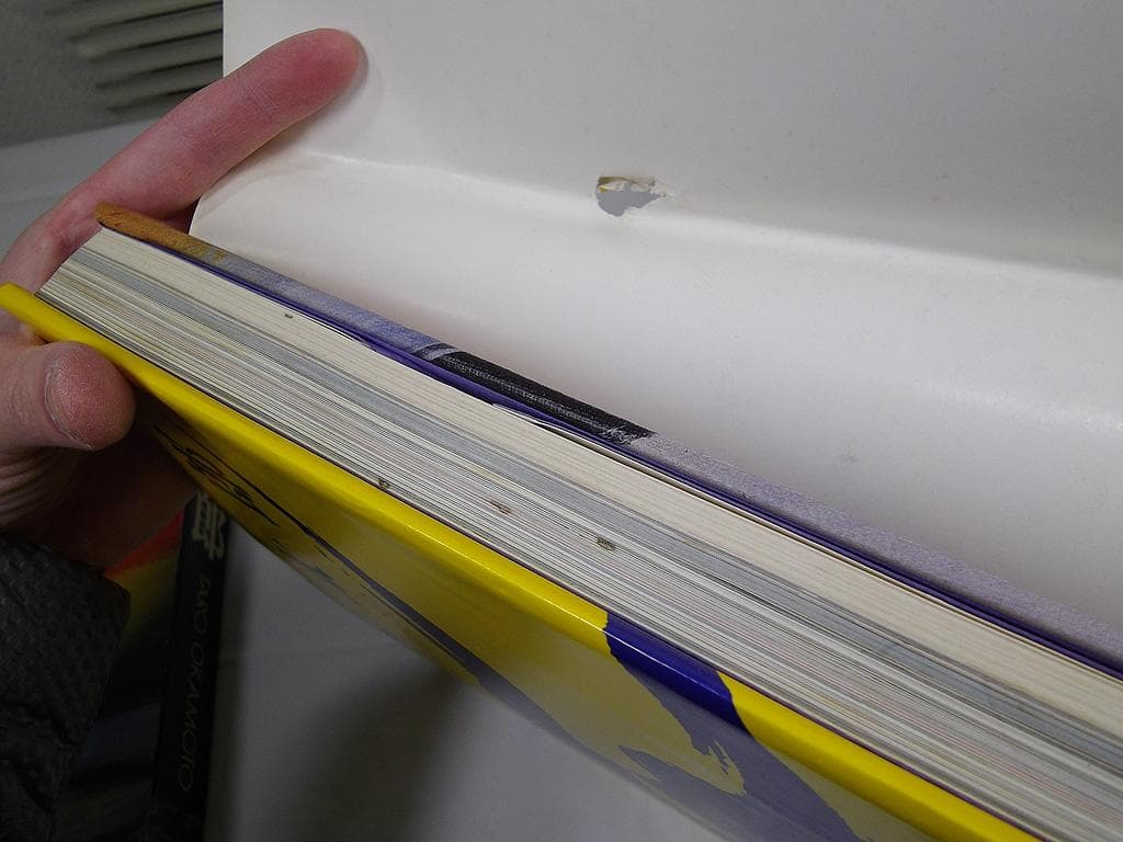 画集 1979年 岡本太郎 初版 平凡社 現代美術 大型本