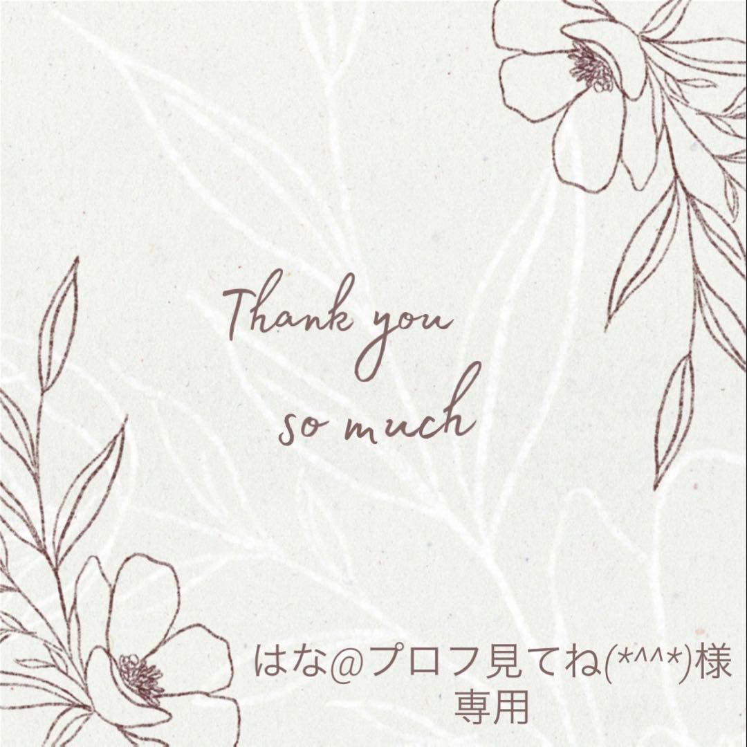 はな@プロフ見てね(*^^*)様 リクエスト 4点 まとめ商品