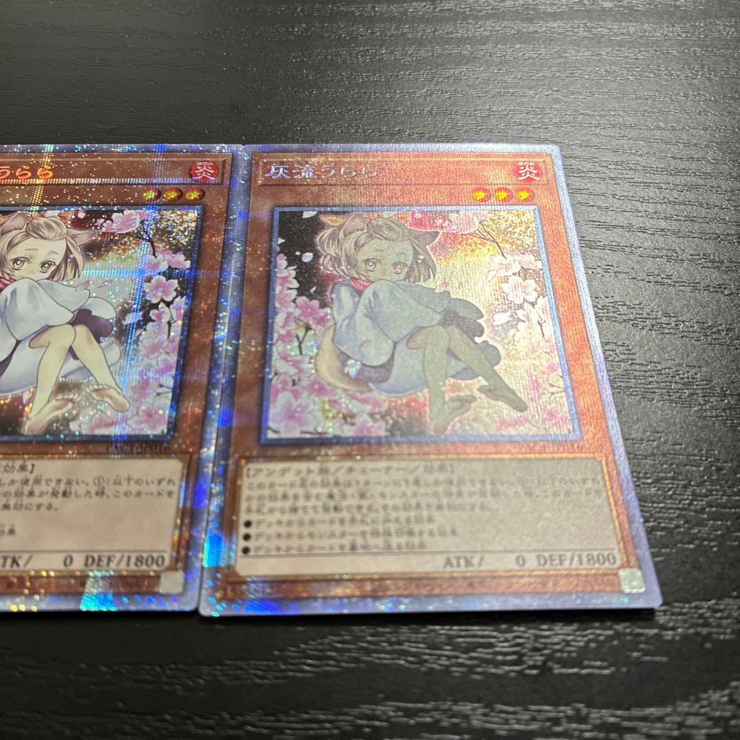 遊戯王　灰流うらら　絵違い　プリズマティックシークレットレア2枚