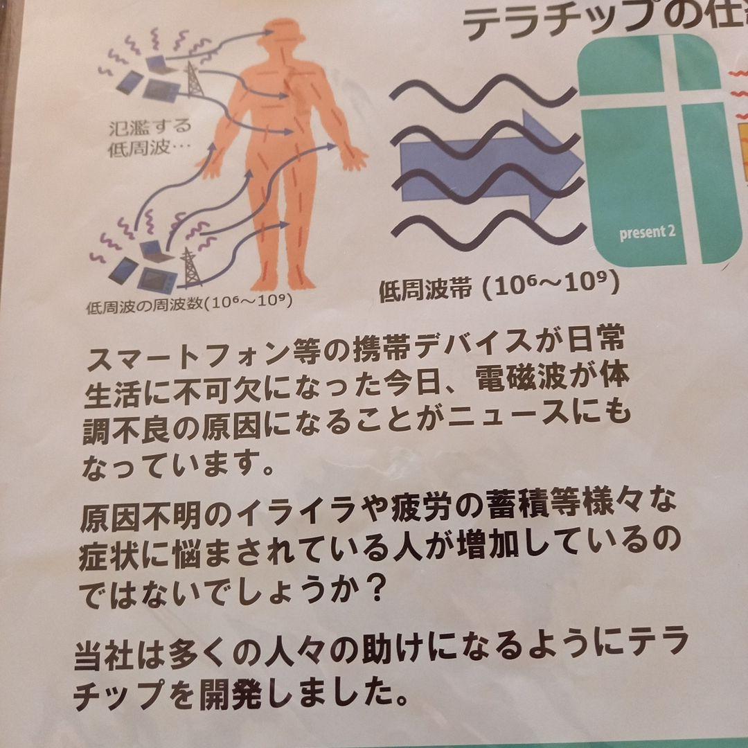 新品テラチップ 健康アクセサリー ネックレス