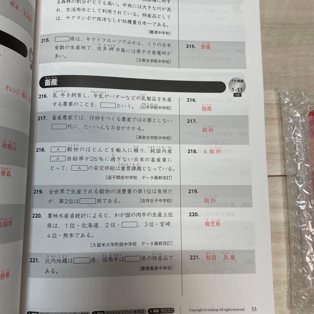 【最新版】プラチナインプット、￼アウトプット、記号の森￼、2024/2025版