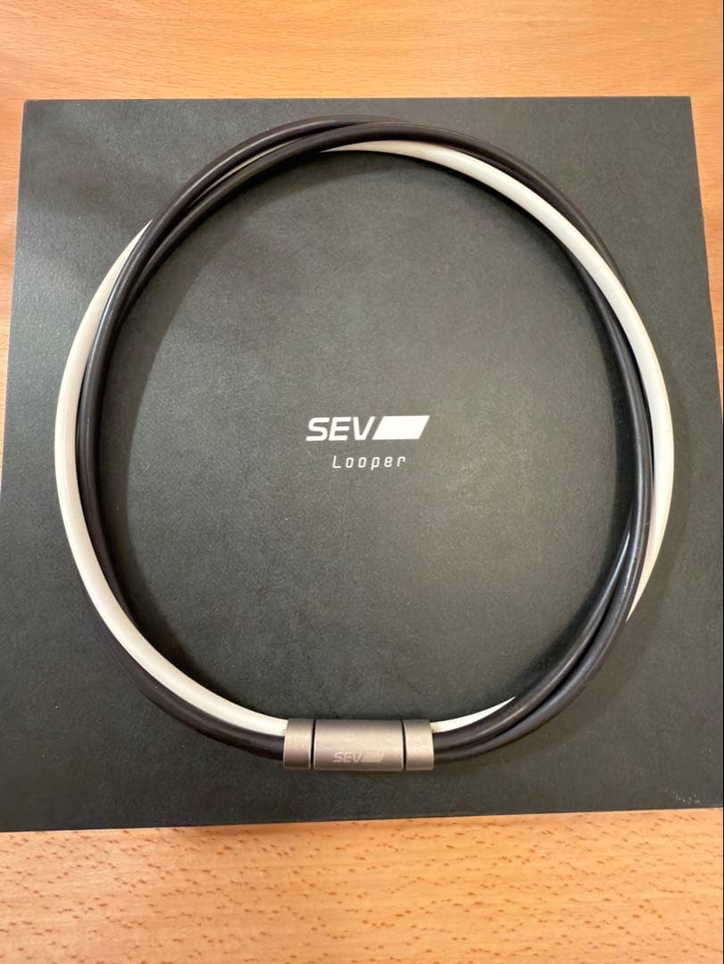 ⭐︎美品⭐︎SEVルーパー Type 3チタン46cm（BK/BK/WH）