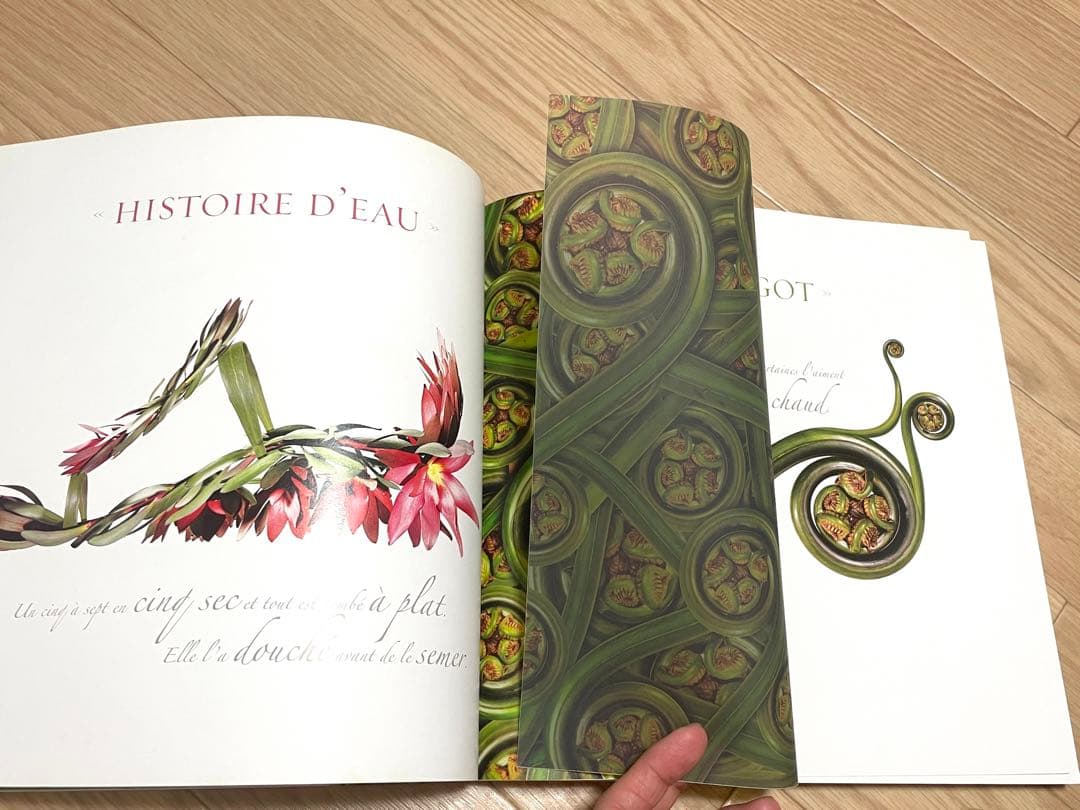 花束・植物 シューズ・鞄 洋書写真集 Bouquets de souliers