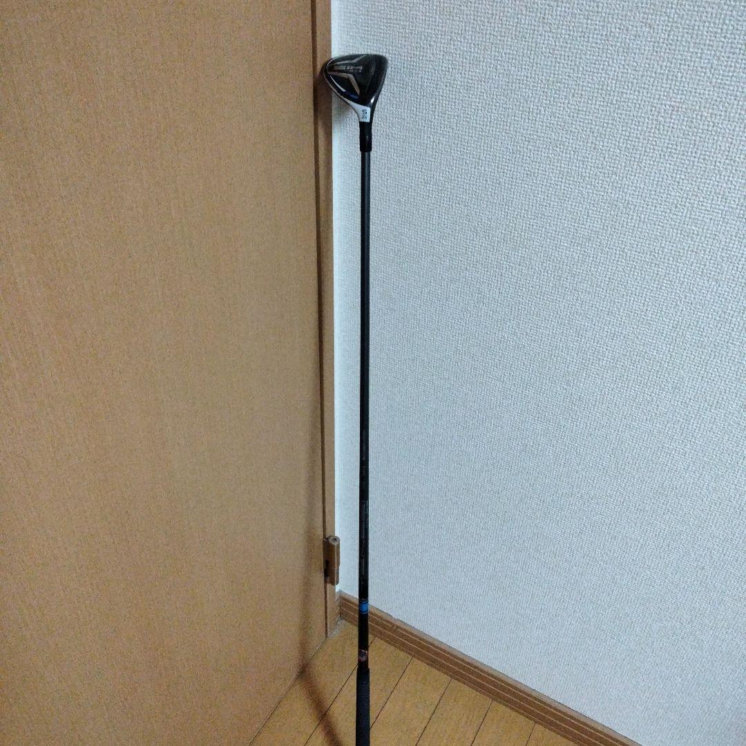 FLEX_s TM60　SIM MAX 　テーラーメイド