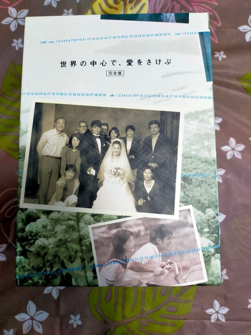 DVD-BOX 世界の中心で、愛をさけぶ 完全版〈6枚組〉 ドラマ 綾瀬はるか