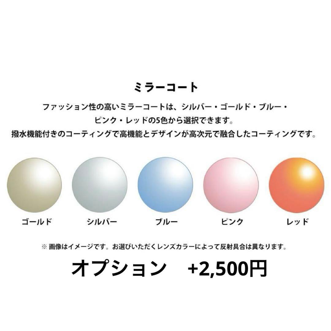 【12色から選べる】オークリーVERSAFUSE×RARTS偏光レンズ　艶消黒