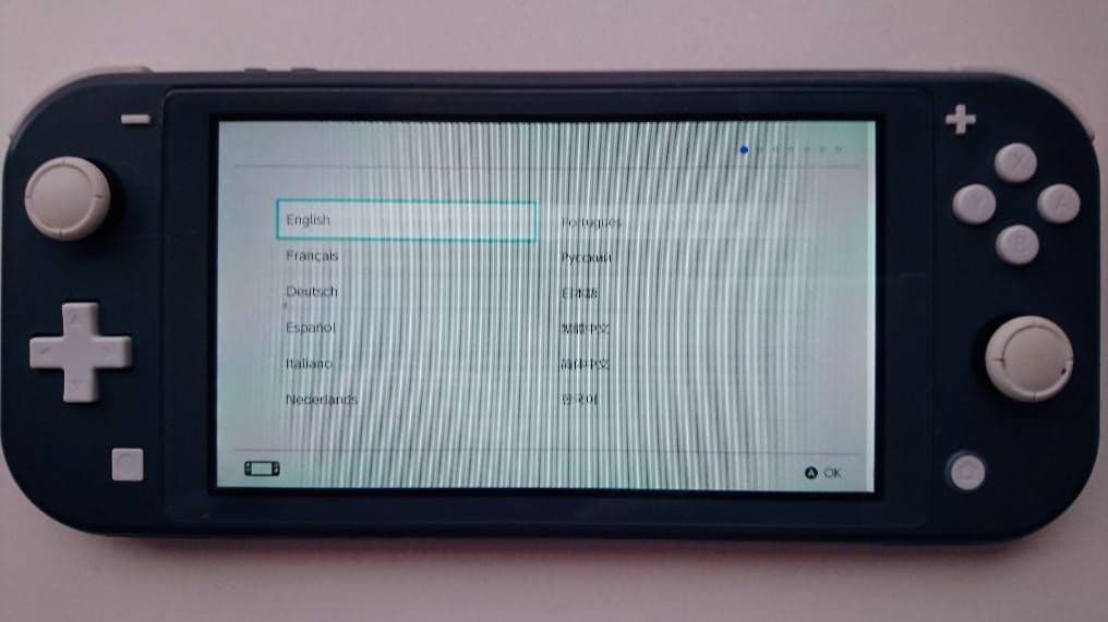 Switch　ライト　ジャンク　グレー